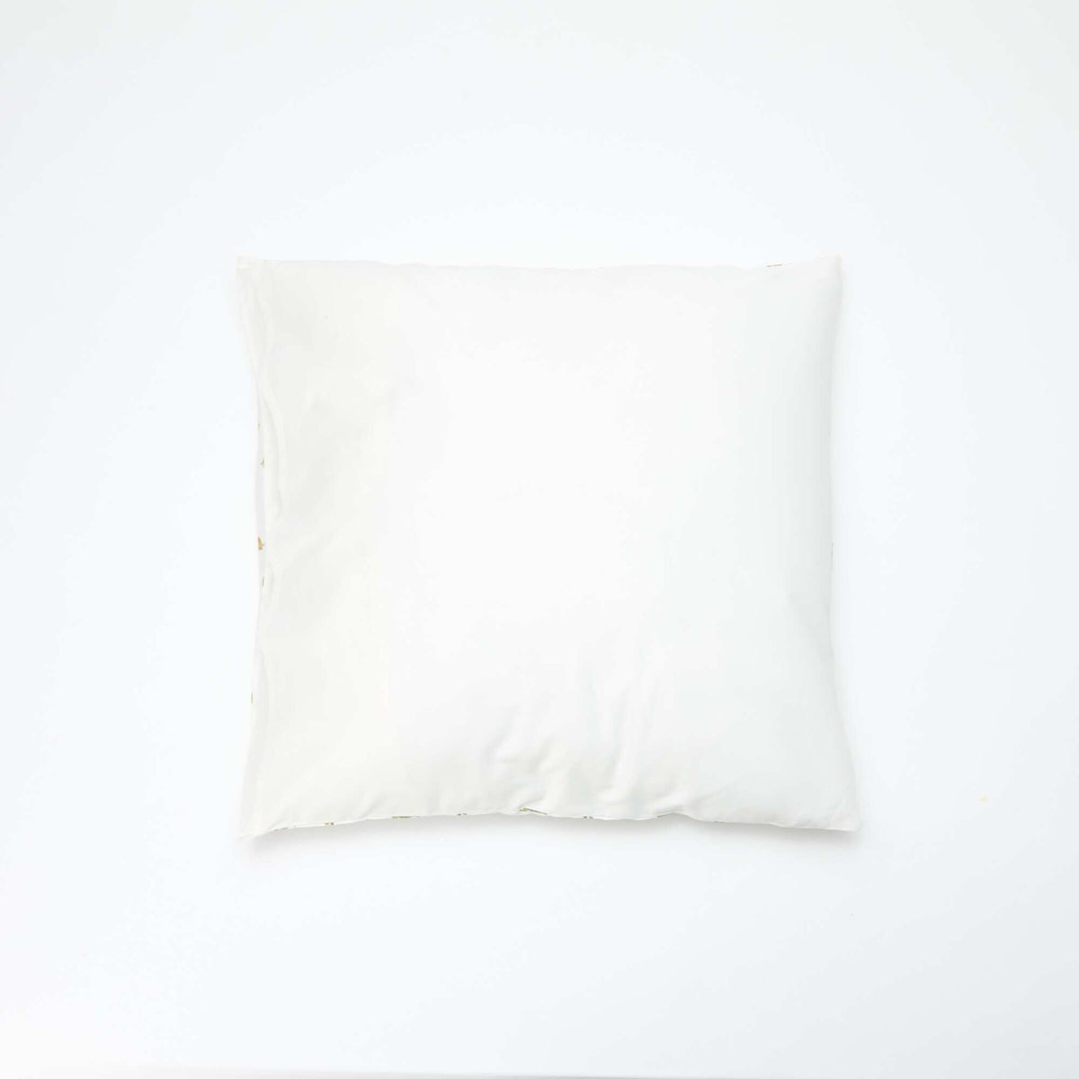 CGW85_9_ZC4