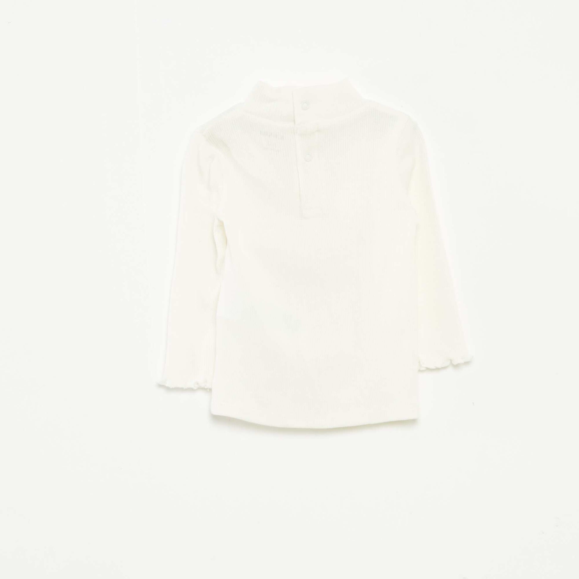 DSQ55_1_ZC2