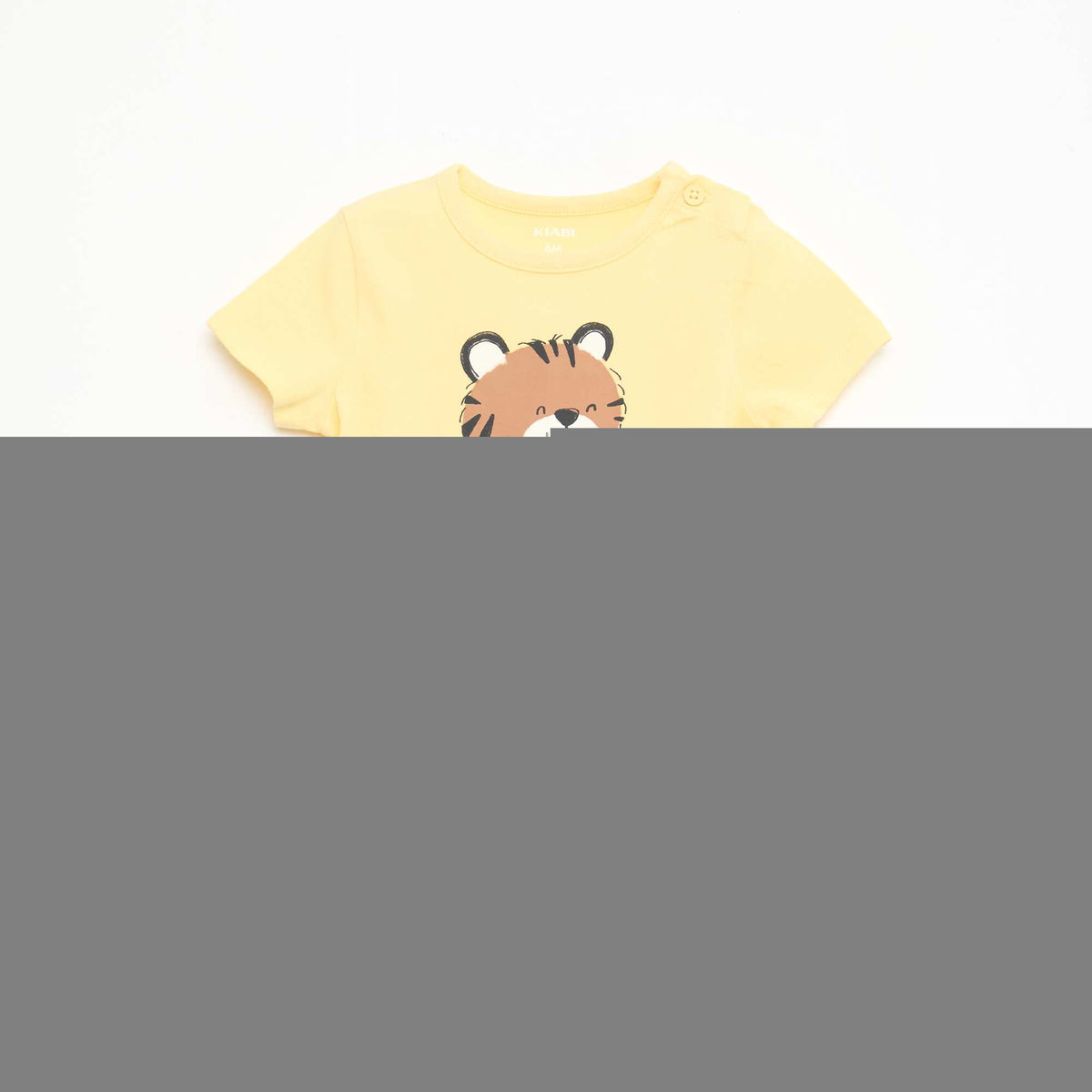 FED39_5_ZC1