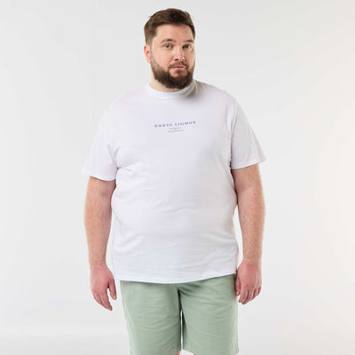 FJI91_1_ZC1