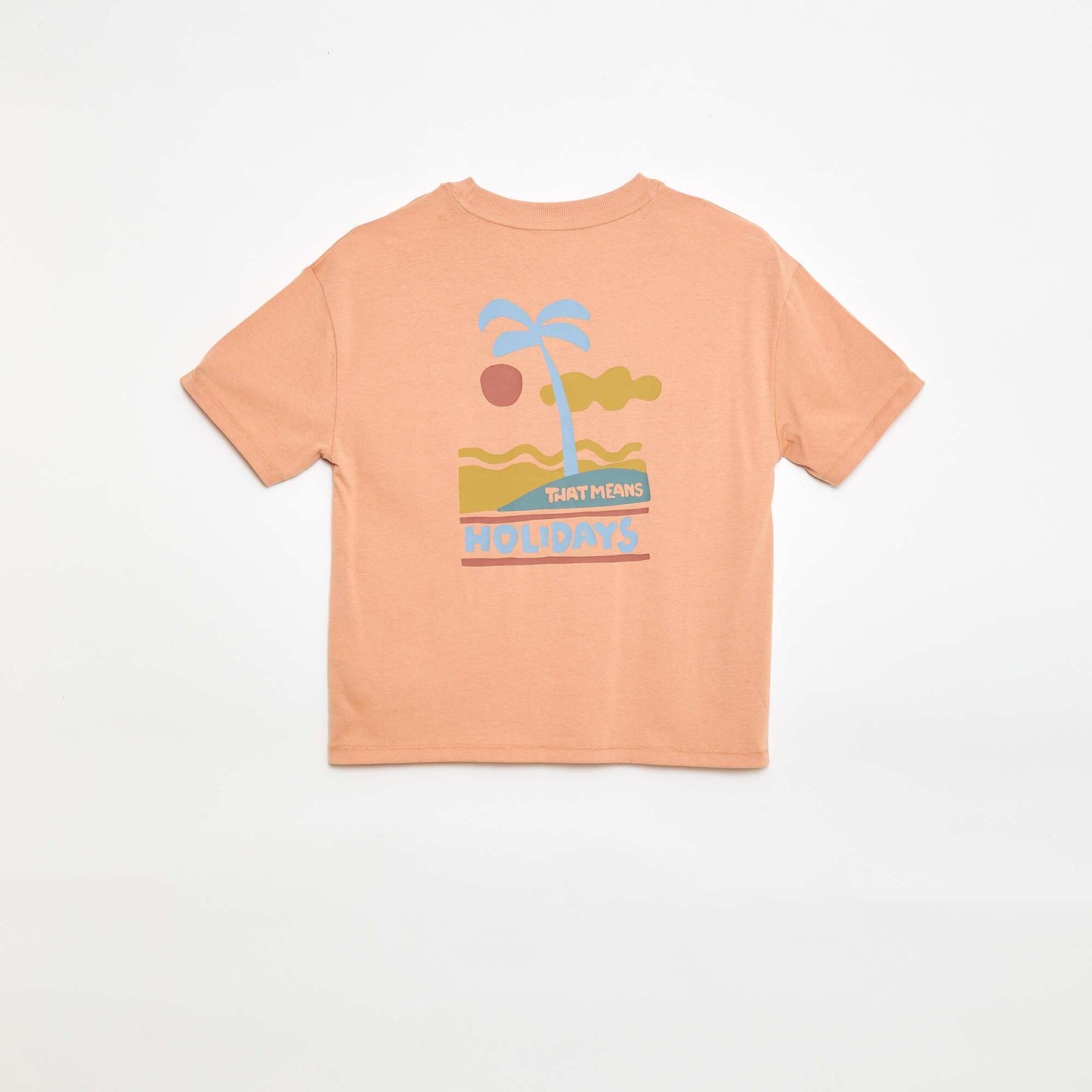 FLA14_2_ZC3