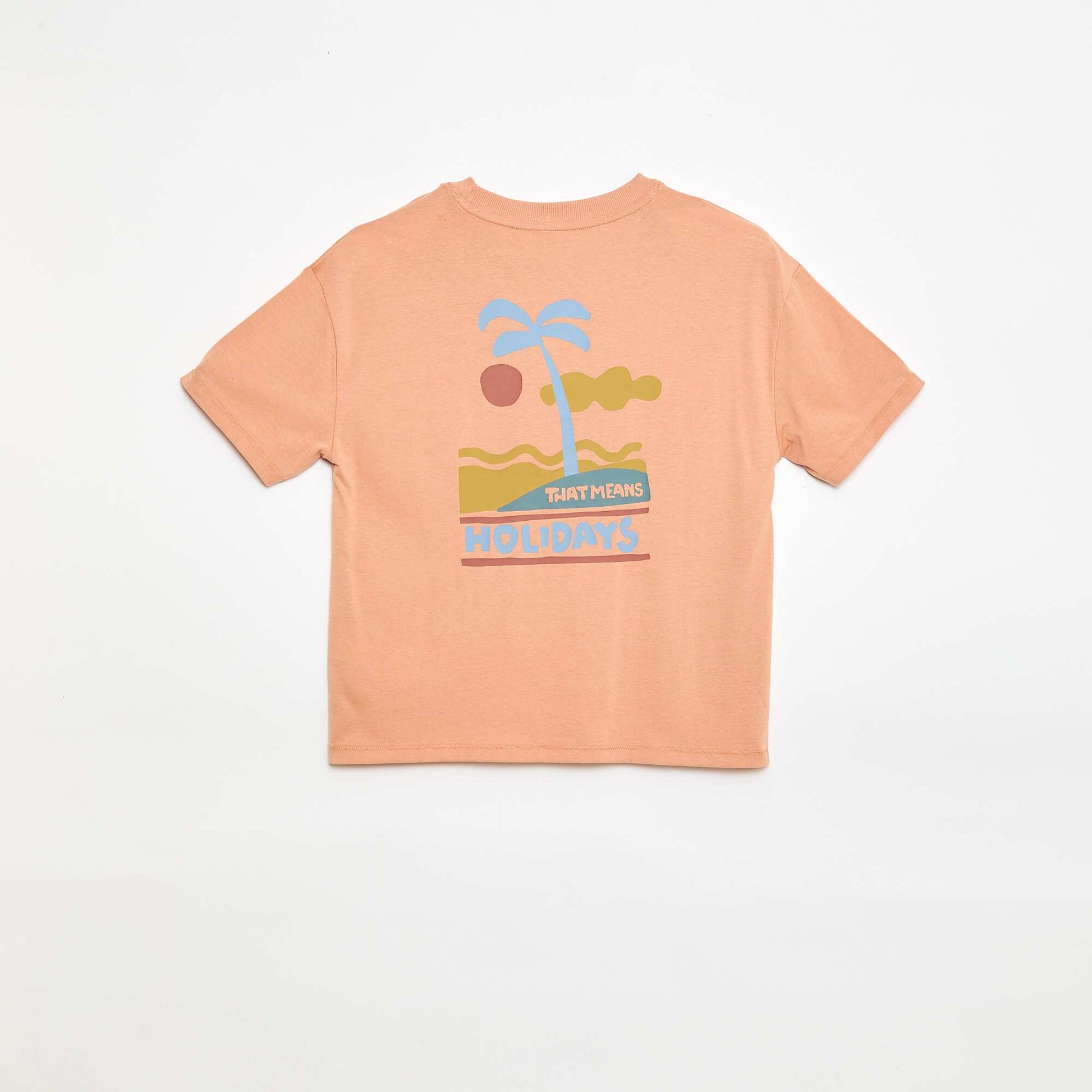FLA14_2_ZC3