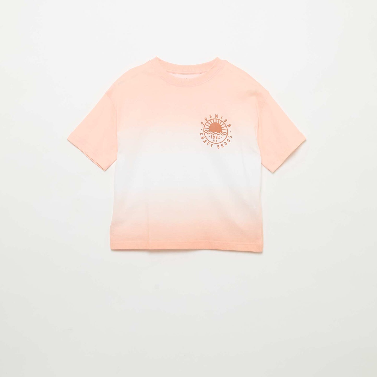 FST48_1_ZC1
