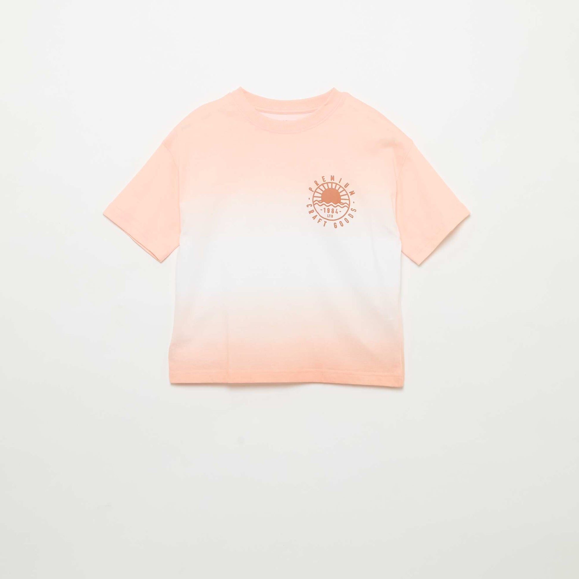 FST48_1_ZC1