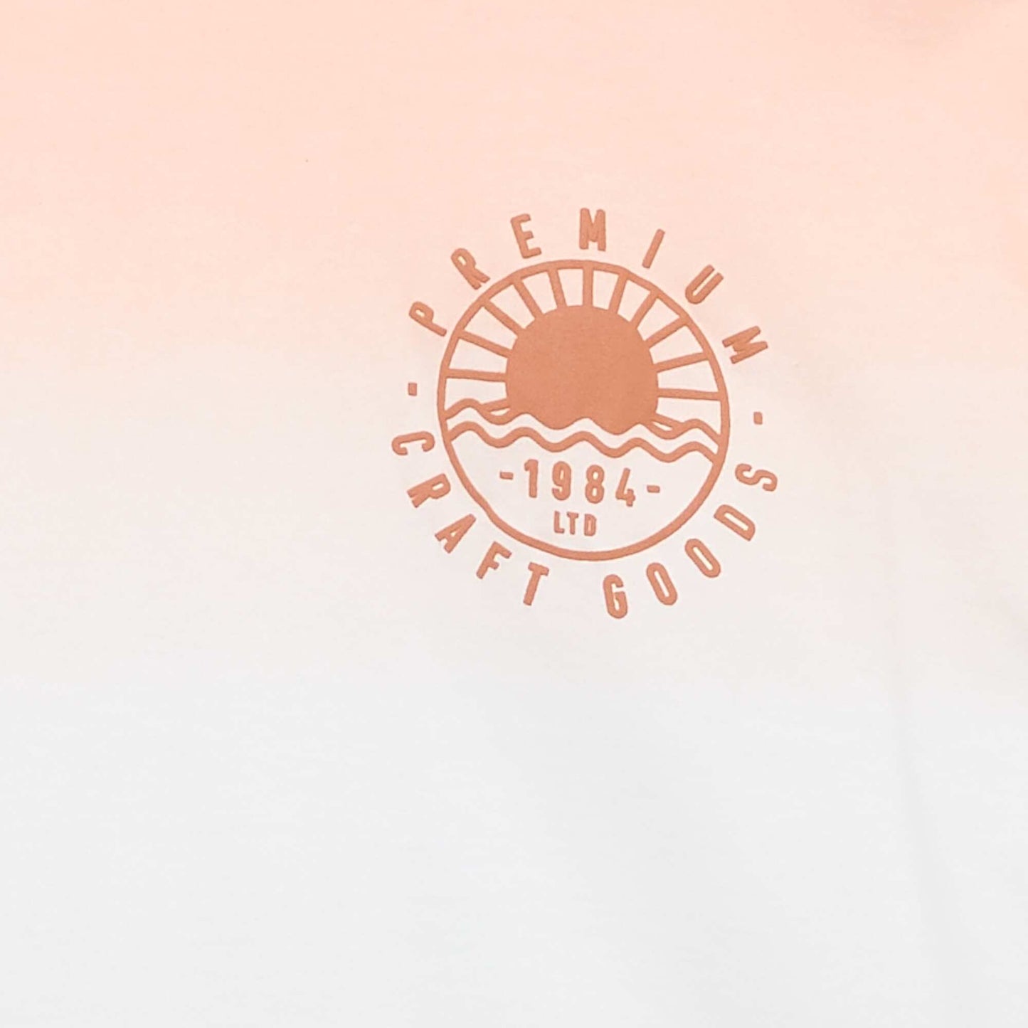 FST48_1_ZC2