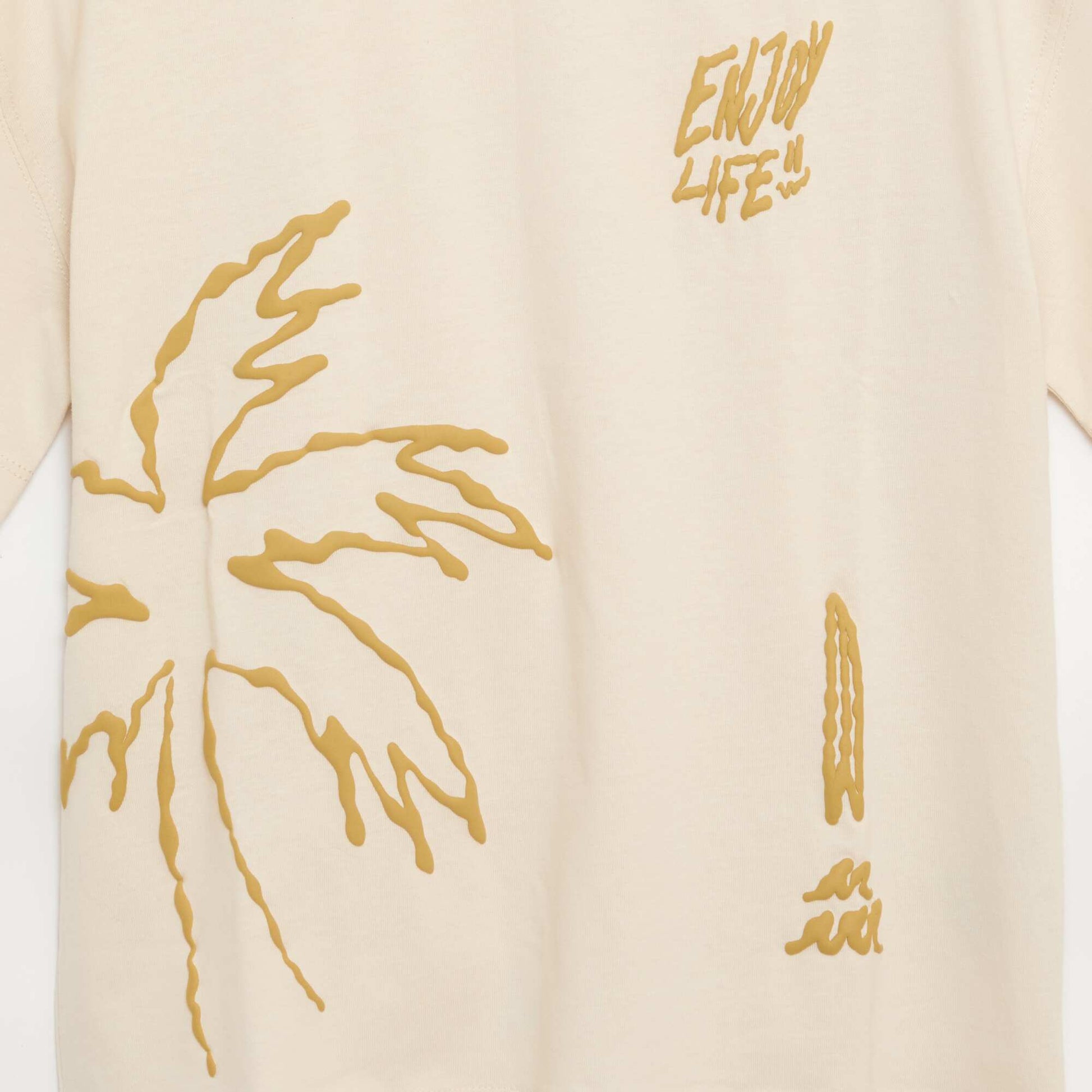 FVY25_1_ZC2