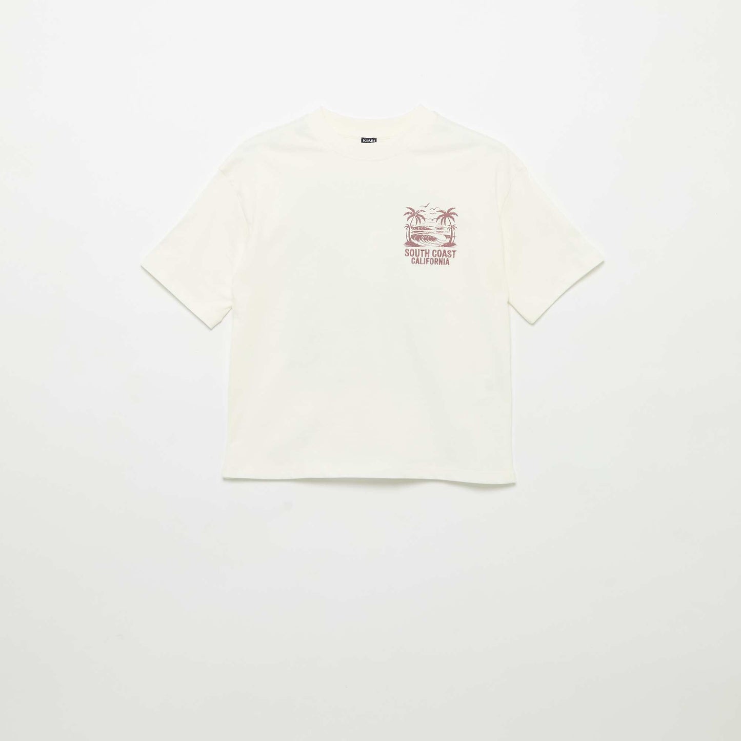 FVY27_3_ZC1
