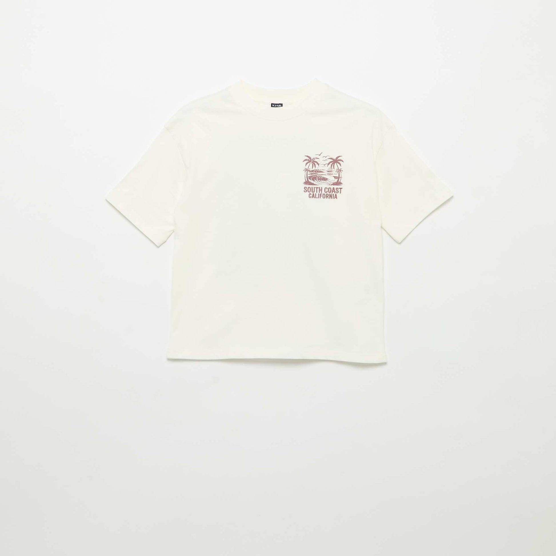 FVY27_3_ZC1