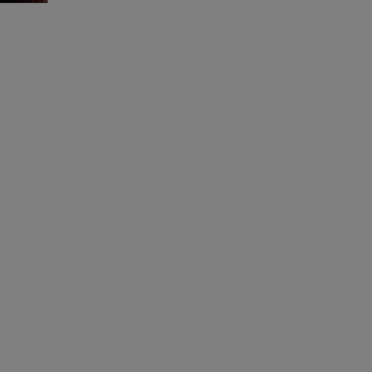 FZF31_2_ZC8